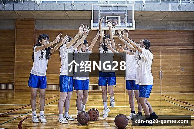 介绍NG28